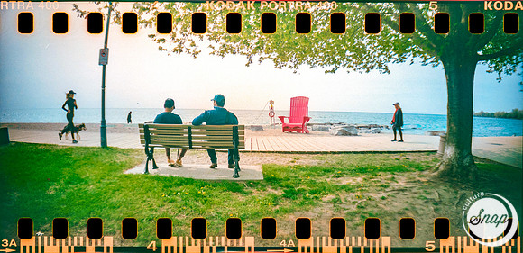 Along the Boardwalk