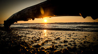 Driftwood Sunset