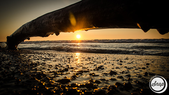 Driftwood Sunset