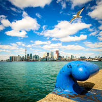 Polson Pier Flyby